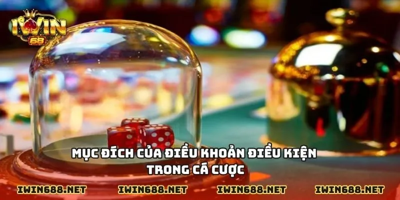 Mục đích của điều khoản điều kiện trong cá cược